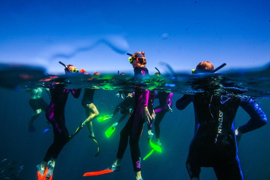 Sal Salis Ningaloo Reef Hotel Exmouth Exterior foto
